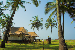 Montego Bay Beach Hotel Goa