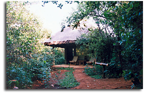 Wildernest Nature Hotel Goa